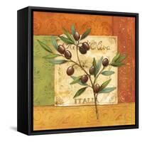 Olives du Midi II-Delphine Corbin-Framed Stretched Canvas