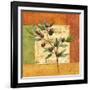 Olives du Midi II-Delphine Corbin-Framed Art Print