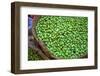 Olives, Fez, Morocco, North Africa-Neil Farrin-Framed Photographic Print