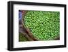 Olives, Fez, Morocco, North Africa-Neil Farrin-Framed Photographic Print
