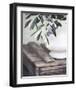 Olives in Ironstone-Elizabeth Kay-Framed Art Print