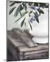 Olives in Ironstone-Elizabeth Kay-Mounted Art Print