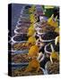 Olives on Market Stall, Provence, France, Europe-Miller John-Stretched Canvas