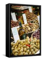 Olives Stall, Shuk Hacarmel (Carmel Market), Tel Aviv, Israel, Middle East-Yadid Levy-Framed Stretched Canvas