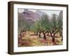 Olives under the Alpilles-Augustus Edwin John-Framed Giclee Print