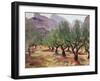 Olives under the Alpilles-Augustus Edwin John-Framed Giclee Print