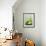 Olives with Olive Oil-Louise Lister-Framed Photographic Print displayed on a wall