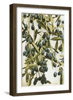 Olives-null-Framed Art Print