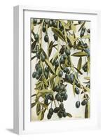 Olives-null-Framed Art Print