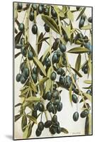 Olives-null-Mounted Art Print