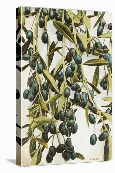 Olives-null-Stretched Canvas