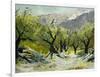 Olivetrees-Pol Ledent-Framed Art Print