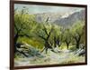 Olivetrees-Pol Ledent-Framed Art Print