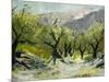 Olivetrees-Pol Ledent-Mounted Art Print