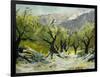 Olivetrees-Pol Ledent-Framed Art Print