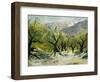 Olivetrees-Pol Ledent-Framed Premium Giclee Print