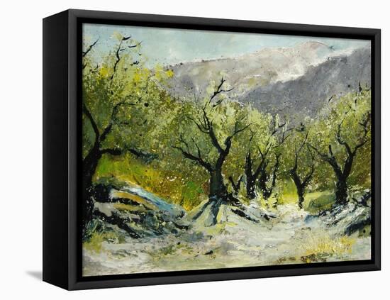 Olivetrees-Pol Ledent-Framed Stretched Canvas