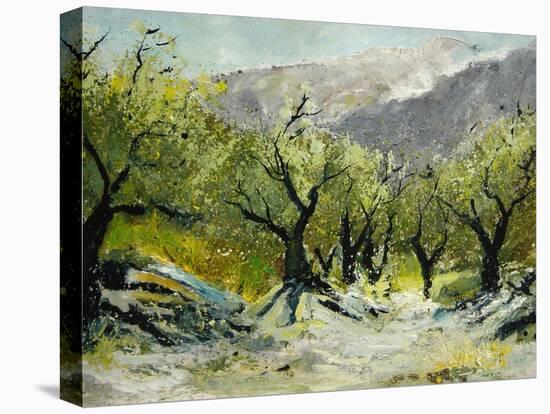 Olivetrees-Pol Ledent-Stretched Canvas