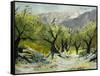 Olivetrees-Pol Ledent-Framed Stretched Canvas