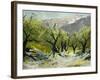 Olivetrees-Pol Ledent-Framed Art Print