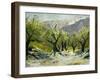 Olivetrees-Pol Ledent-Framed Art Print