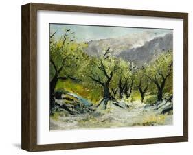 Olivetrees-Pol Ledent-Framed Art Print