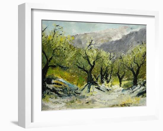 Olivetrees-Pol Ledent-Framed Art Print