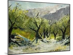 Olivetrees-Pol Ledent-Mounted Art Print