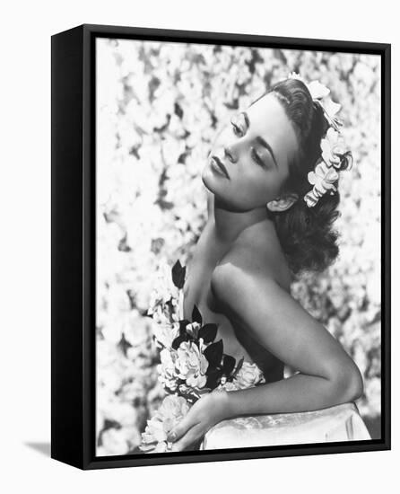 Olivia de Havilland-null-Framed Stretched Canvas