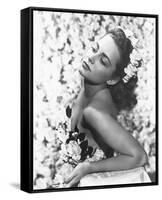 Olivia de Havilland-null-Framed Stretched Canvas