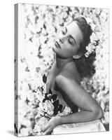 Olivia de Havilland-null-Stretched Canvas