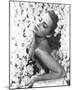 Olivia de Havilland-null-Mounted Photo