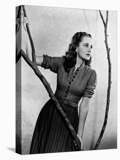 Olivia De Havilland-null-Stretched Canvas