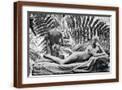 Brown Frame