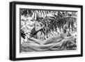 Black Frame