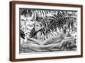 Brown Frame