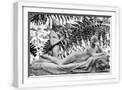 White Frame
