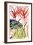 Brown Frame