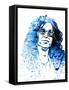Framed Canvas