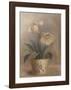 Olivia's Flowers II-Cheovan-Framed Art Print