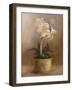 Olivia's Flowers IV-Cheovan-Framed Art Print