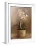 Olivia's Flowers IV-Cheovan-Framed Art Print