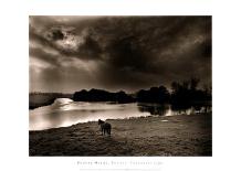 Jetty near the Palm Beach-Olivier Meriel-Framed Art Print