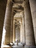 Columns of the Temple of Philae, UNESCO World Heritage Site, Nubia, Egypt, North Africa, Africa-Olivieri Oliviero-Photographic Print