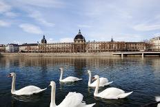 Hotel the Dieu on the Rhone River, Lyon, Rhone-Alpes, France, Europe-Oliviero-Photographic Print