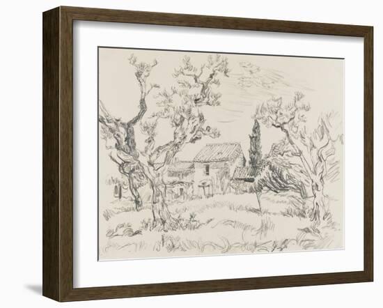 Oliviers à Eygalières (Bouches-du-Rhône)-null-Framed Giclee Print