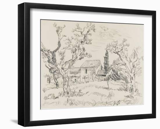 Oliviers à Eygalières (Bouches-du-Rhône)-null-Framed Giclee Print