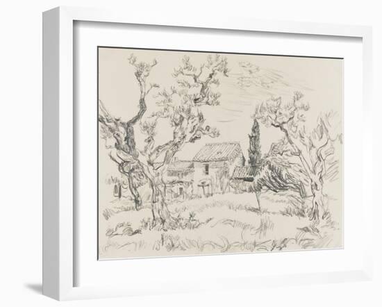 Oliviers à Eygalières (Bouches-du-Rhône)-null-Framed Giclee Print