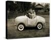 Ollie In His Car-Pete Kelly-Stretched Canvas