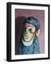 Ollie Monkey, 2007,-Peter Jones-Framed Giclee Print